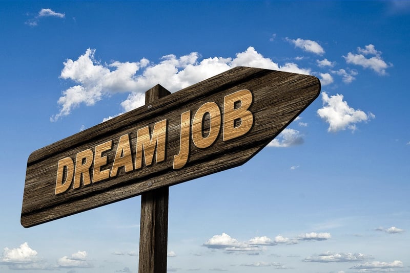 Job Search Platforms